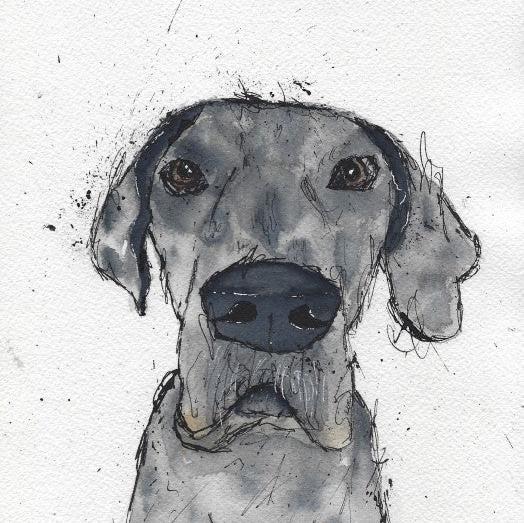 Custom Ink and Watercolor Pet Portrait Painting