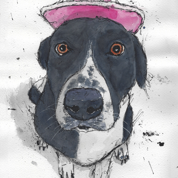 Custom Ink and Watercolor Pet Portrait Painting