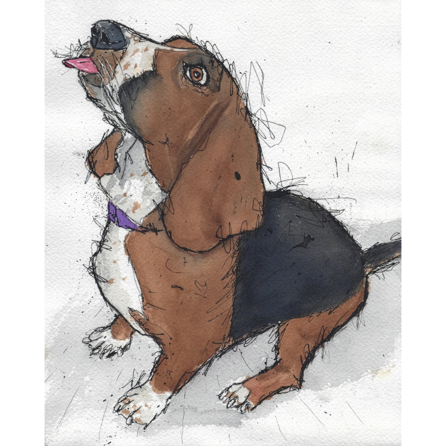 Commissioned Pet Portrait