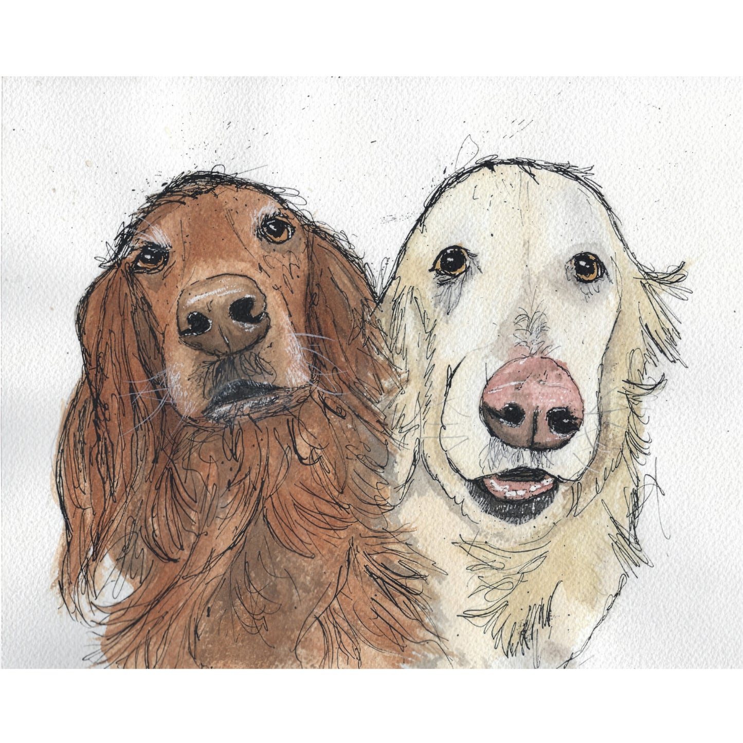 Commissioned Pet Portrait